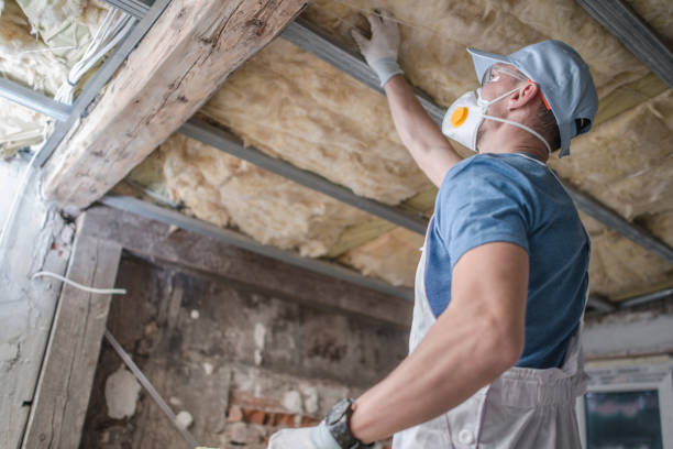 Best DIY Insulation Kits and Guidance in Hanover, IN